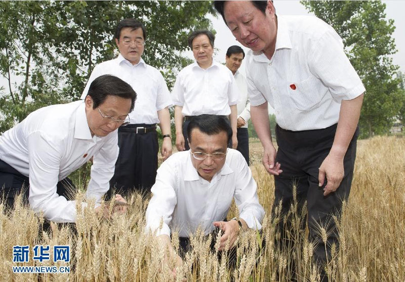 6月7日至8日，中共中央政治局常委、國務(wù)院總理李克強到河北邯鄲、邢臺、石家莊考察。 這是6月7日，李克強在邯鄲縣裴堡東村查看小麥?zhǔn)粘?。新華社記者黃敬文攝