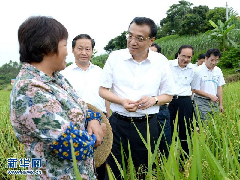 7月8日至10日，中共中央政治局常委、國(guó)務(wù)院總理李克強(qiáng)到廣西北海、欽州、南寧考察。這是7月9日，李克強(qiáng)走進(jìn)南寧沖陶村的稻田，了解田間管理、農(nóng)業(yè)技術(shù)服務(wù)和收獲保管等情況。 新華社記者馬佔(zhàn)成攝