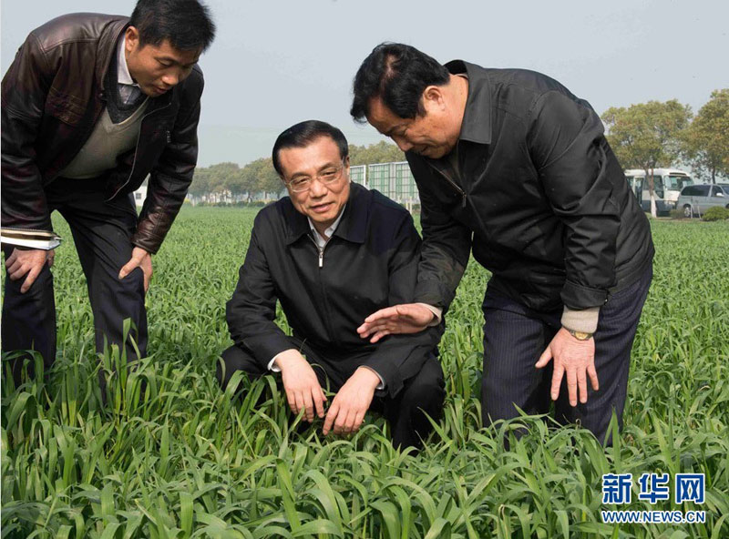 3月27日至29日，中共中央政治局常委、國務院總理李克強先后到江蘇、上海考察。這是3月28日，李克強在江蘇省常熟市田娘家庭農(nóng)場察看麥苗長勢。新華社記者 李學仁 攝