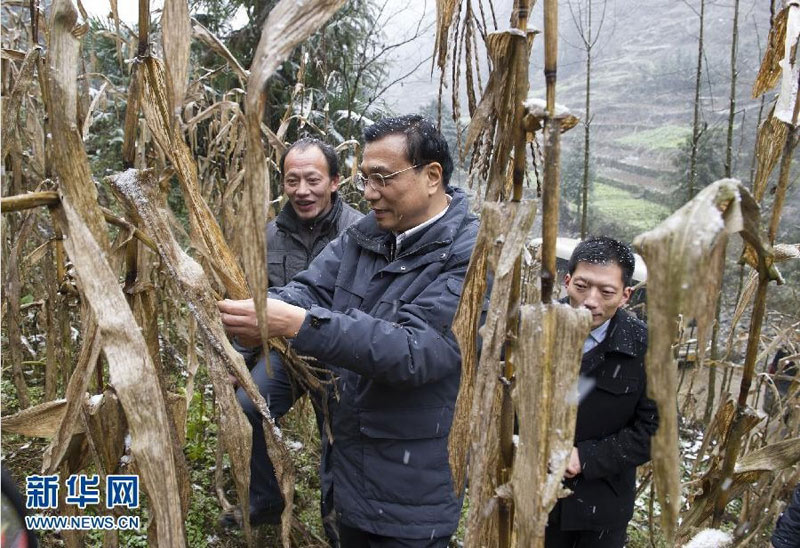 2012年12月27日至30日，中共中央政治局常委、國(guó)務(wù)院副總理李克強(qiáng)到江西九江、湖北恩施調(diào)研。這是12月29日，李克強(qiáng)在湖北恩施龍鳳鎮(zhèn)青堡村，踩著泥滑山坡道攀上路邊陡坡，察看掛坡地種植的艱難。 新華社記者 黃敬文 攝