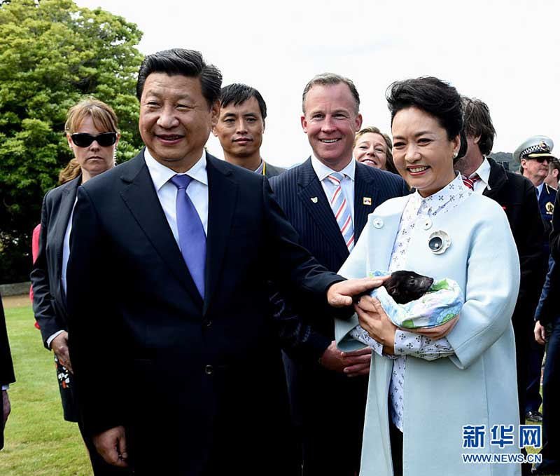 11月18日，國家主席習(xí)近平在澳大利亞塔斯馬尼亞州與朗塞斯頓市斯科奇－歐克伯恩小學(xué)的小學(xué)生共同植樹。這是習(xí)近平和夫人彭麗媛植樹后撫摸袋獾。新華社記者 饒愛民 攝