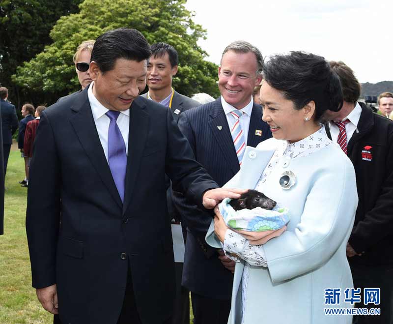 11月18日，國家主席習(xí)近平在澳大利亞塔斯馬尼亞州與朗塞斯頓市斯科奇－歐克伯恩小學(xué)的小學(xué)生共同植樹。這是習(xí)近平和夫人彭麗媛植樹后撫摸袋獾。新華社記者 馬佔成 攝