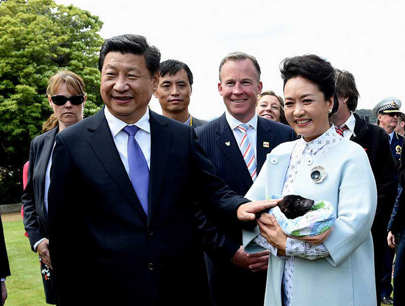 2014年11月18日，國家主席習(xí)近平在澳大利亞塔斯馬尼亞州與朗塞斯頓市斯科奇－歐克伯恩小學(xué)的小學(xué)生共同植樹。這是習(xí)近平和夫人彭麗媛植樹后撫摸袋獾。饒愛民 攝