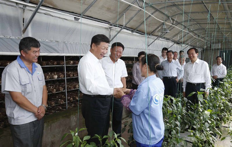 @719ƽyh}(zhn)ԭ¡忼߲㹽NֲAӛ߾iz