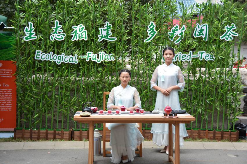 茶藝展示。人民網(wǎng) 夏迪攝