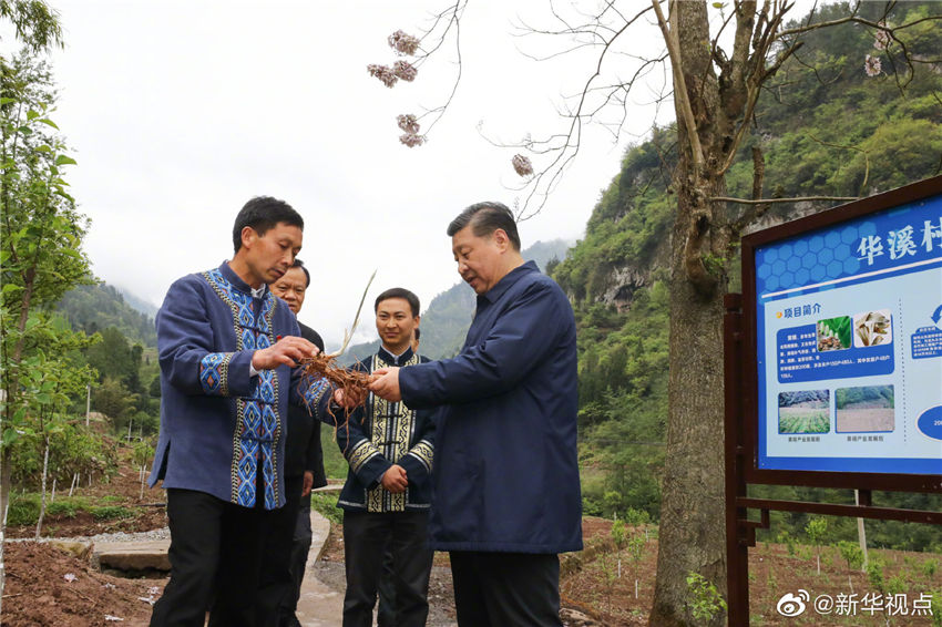 41517й뿂ӛϯ܊ίϯ(x)ƽؑc죬_Qɲϡͻ}Մ@415(x)ƽʯοhl(xing)AϪ˽ԓͨ^NֲˎSɫ(jng)ӴÓؚrAӛ i z