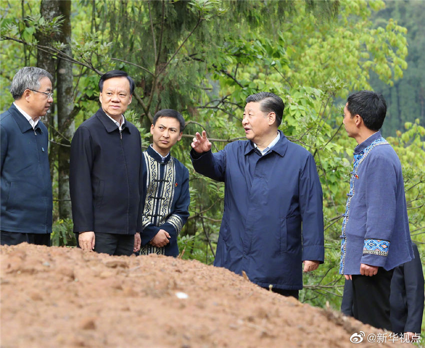 41517գй뿂ӛ(gu)ϯ܊ίϯ(x)ƽؑc_Qɲϡͻ}Մ(hu)@415(x)ƽʯοhl(xing)AϪ쿴Ȼh(hun)ݴòAӛ  z