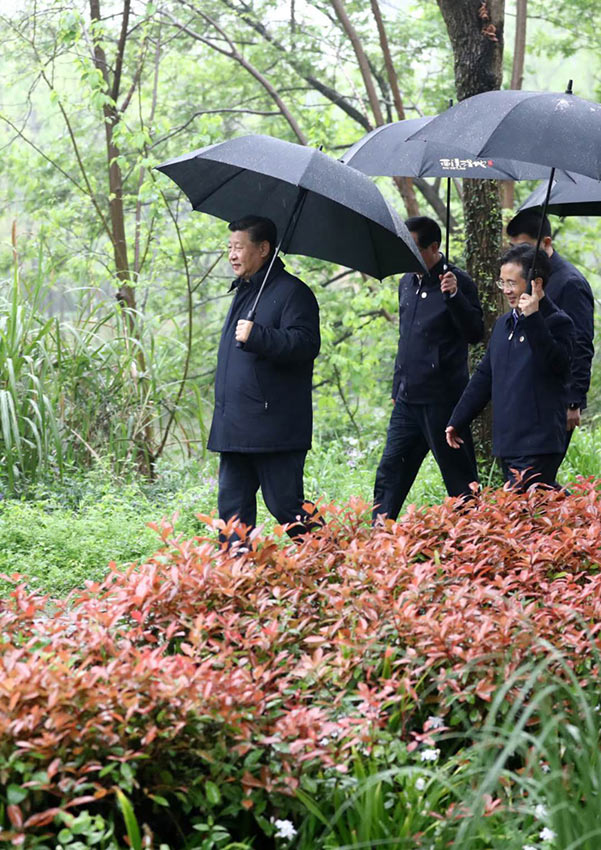 3月31日，中共中央總書記、國家主席、中央軍委主席習(xí)近平在杭州考察。這是習(xí)近平在西溪國家濕地公園就西溪濕地保護利用情況進行考察調(diào)研。 新華社記者 鞠鵬 攝