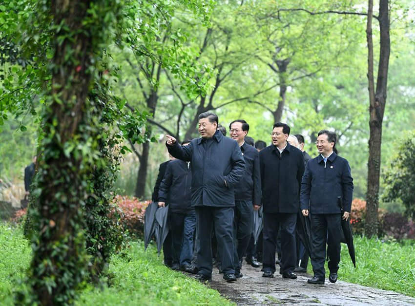 3月31日，中共中央總書記、國家主席、中央軍委主席習(xí)近平在杭州考察。這是習(xí)近平在西溪國家濕地公園就西溪濕地保護(hù)利用情況進(jìn)行考察調(diào)研。 新華社記者 燕雁 攝
