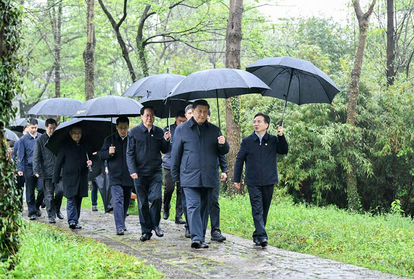 3月31日，中共中央總書記、國家主席、中央軍委主席習近平在杭州考察。這是習近平在西溪國家濕地公園就西溪濕地保護利用情況進行考察調(diào)研。 新華社記者 燕雁 攝