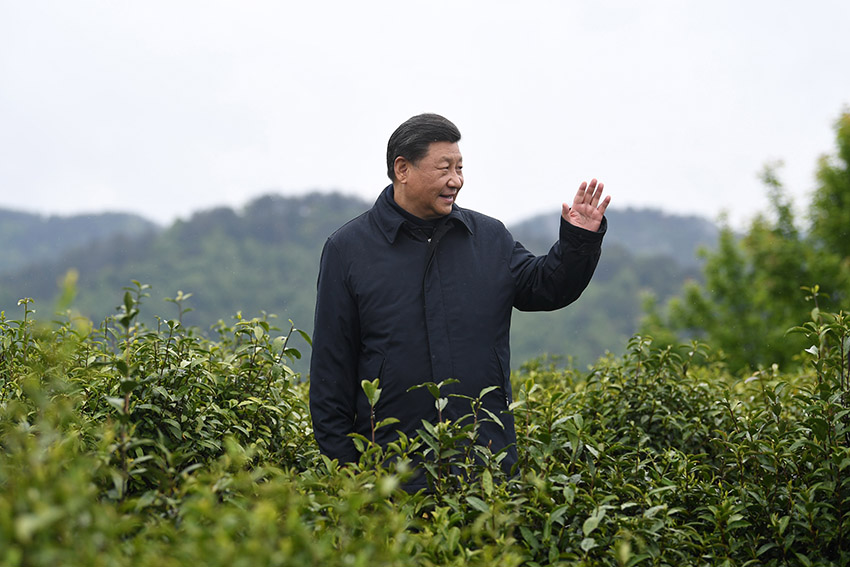 (x)ƽӛ21ՁʡƽhϿh(zhn)\^(q)(zhn)l(wi)ԺСW(xu)Ͳ@쮔(dng)?sh)Óؚ?jin)rӛߣ zӰӛߣixh(hun)YԽ