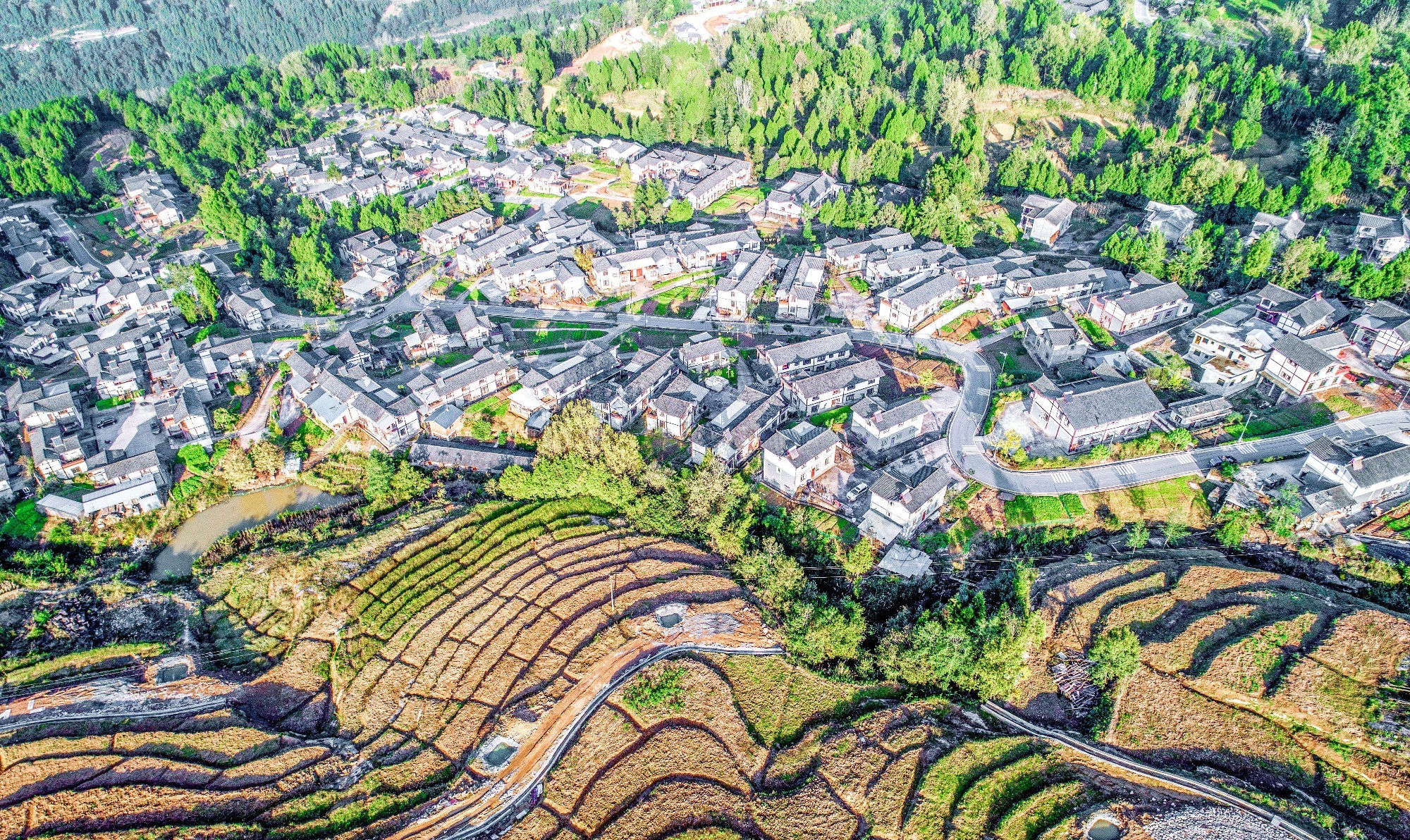 通江縣沙溪鎮(zhèn)王坪村新村聚居點。