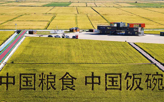 喜迎二十大︱黑龍江：龍騰虎躍全面振興開新局