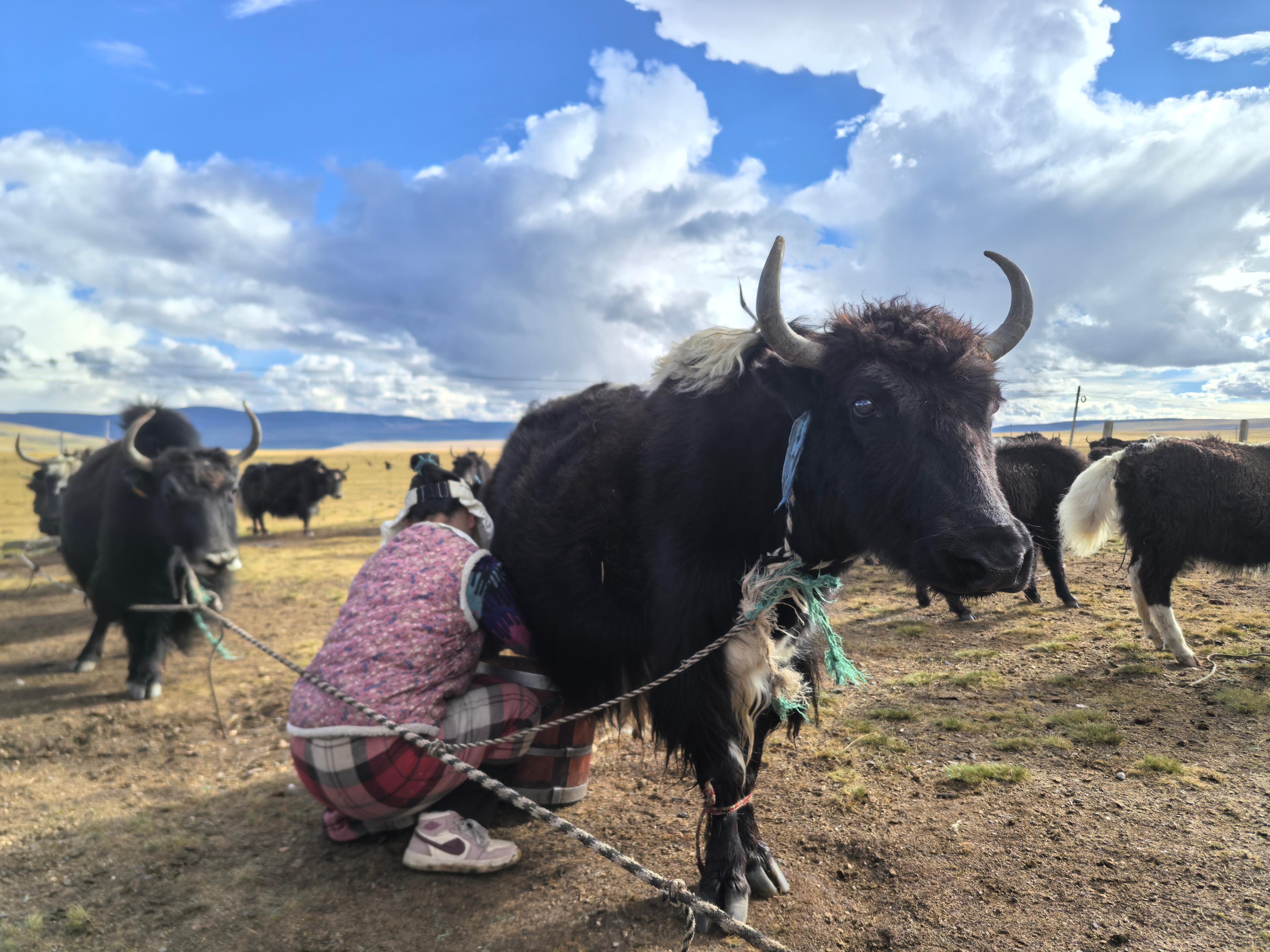 ɫ^(q) B(ti)a(chn)I(y)ʾ?ci)D̹ڔDţW(wng)ӛ Sz