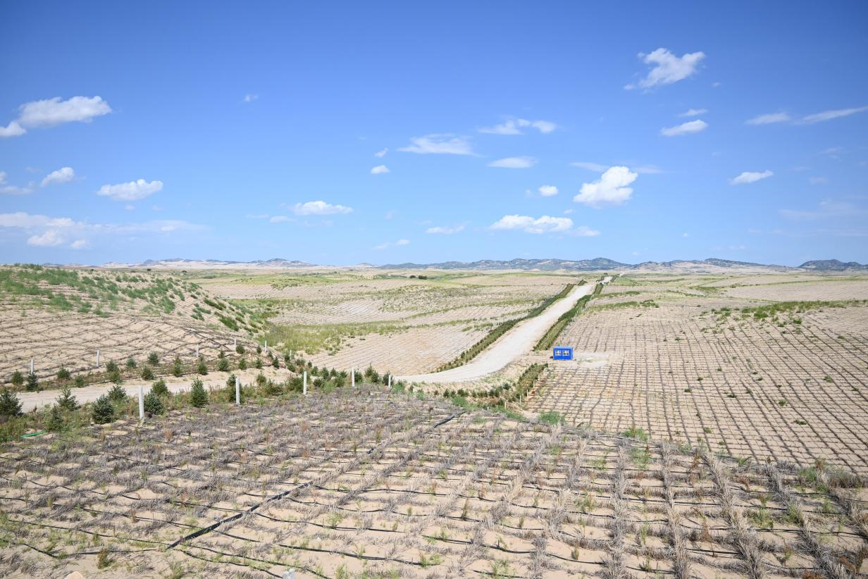 赤峰市翁牛特旗2024年新建的穿沙公路。人民網(wǎng)記者 劉藝琳攝