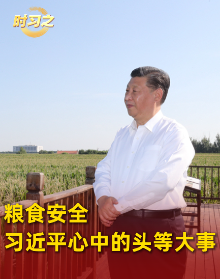 糧食安全：習(xí)近平心中的頭等大事