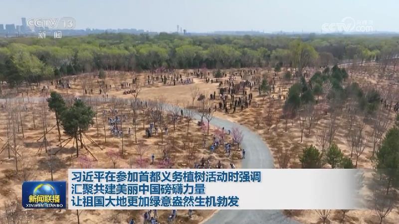 習(xí)近平在參加首都義務(wù)植樹活動時強調(diào) 匯聚共建美麗中國磅礡力量 讓祖國大地更加綠意盎然生機勃發(fā)