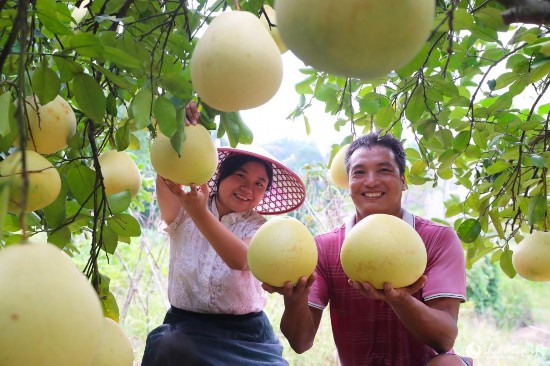 ʡhƺ(zhn)r(nng)ڲժĸF۔z