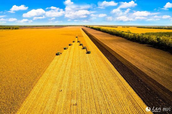 ļFxr(nng)I(y)F(xin)չʾ˱ĵSʢչʾЇr(nng)I(y)F(xin)ĽOɹ޽ܔz