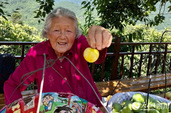 ʯδοչʾW(wng)ӛ z