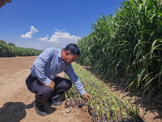 ߼(j)r(nng)ˇdӛ߽B޾磨202391ՔzAӛR z