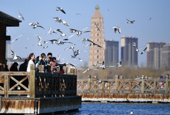 ڌyк@^pB(nio)2023312ՔzAӛi z