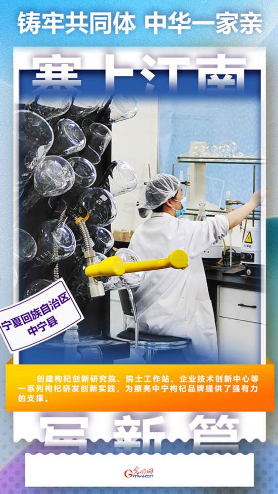 鑄牢共同體 中華一家親丨小枸杞大收益 保溫杯里“玩”出新花活