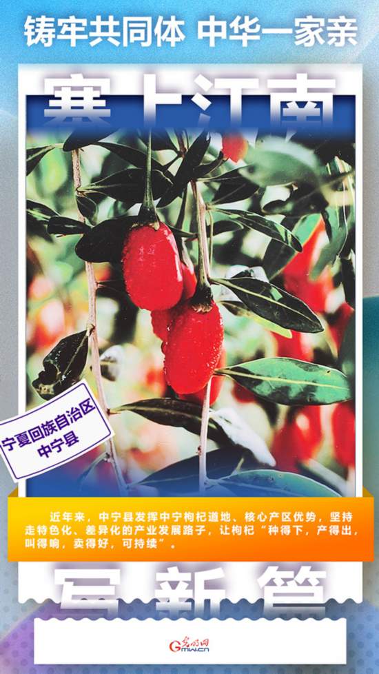 鑄牢共同體 中華一家親丨小枸杞大收益 保溫杯里“玩”出新花活