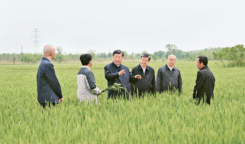 2023年5月11日至12日，中共中央總書記、國家主席、中央軍委主席習(xí)近平在河北考察，並主持召開深入推進(jìn)京津冀協(xié)同發(fā)展座談會。這是11日上午，習(xí)近平在滄州市黃驊市舊城鎮(zhèn)仙莊片區(qū)旱鹼地麥田考察時(shí)，同種植戶、農(nóng)技專家親切交流。 新華社記者 李學(xué)仁/攝